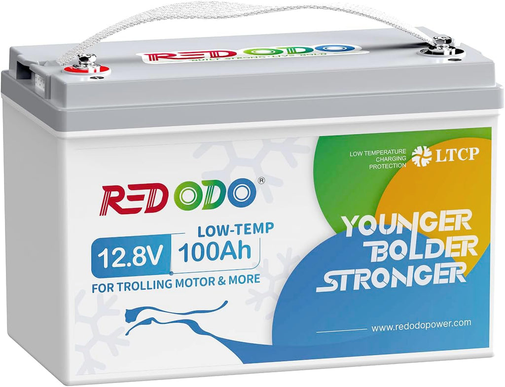 12V 100Ah LiFePO4 Deep Cycle Battery M26948