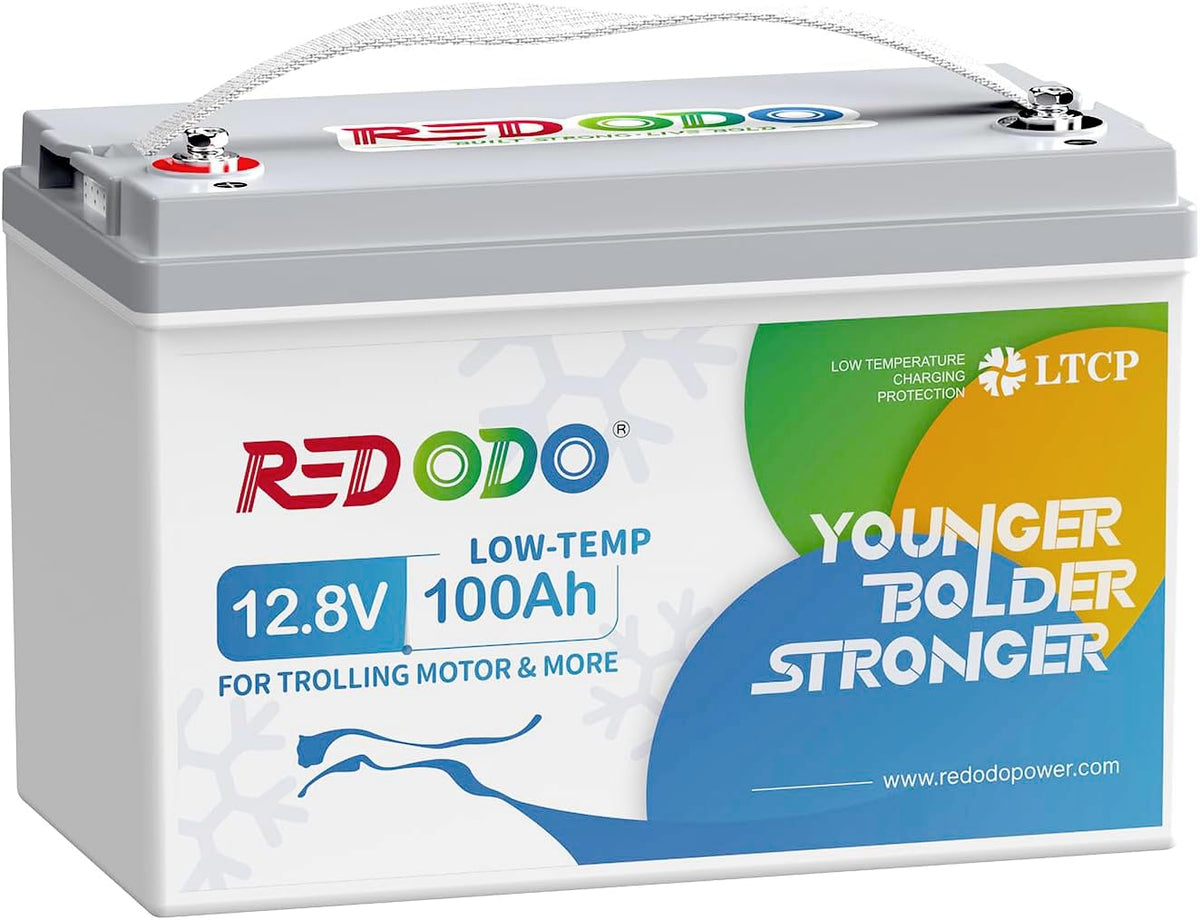 12V 100Ah LiFePO4 Deep Cycle Battery M26948