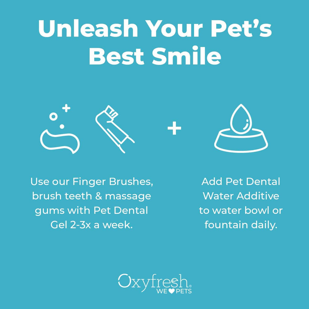 Pet Dental Kit 4oz Toothpaste + 16oz Water Additive Y858