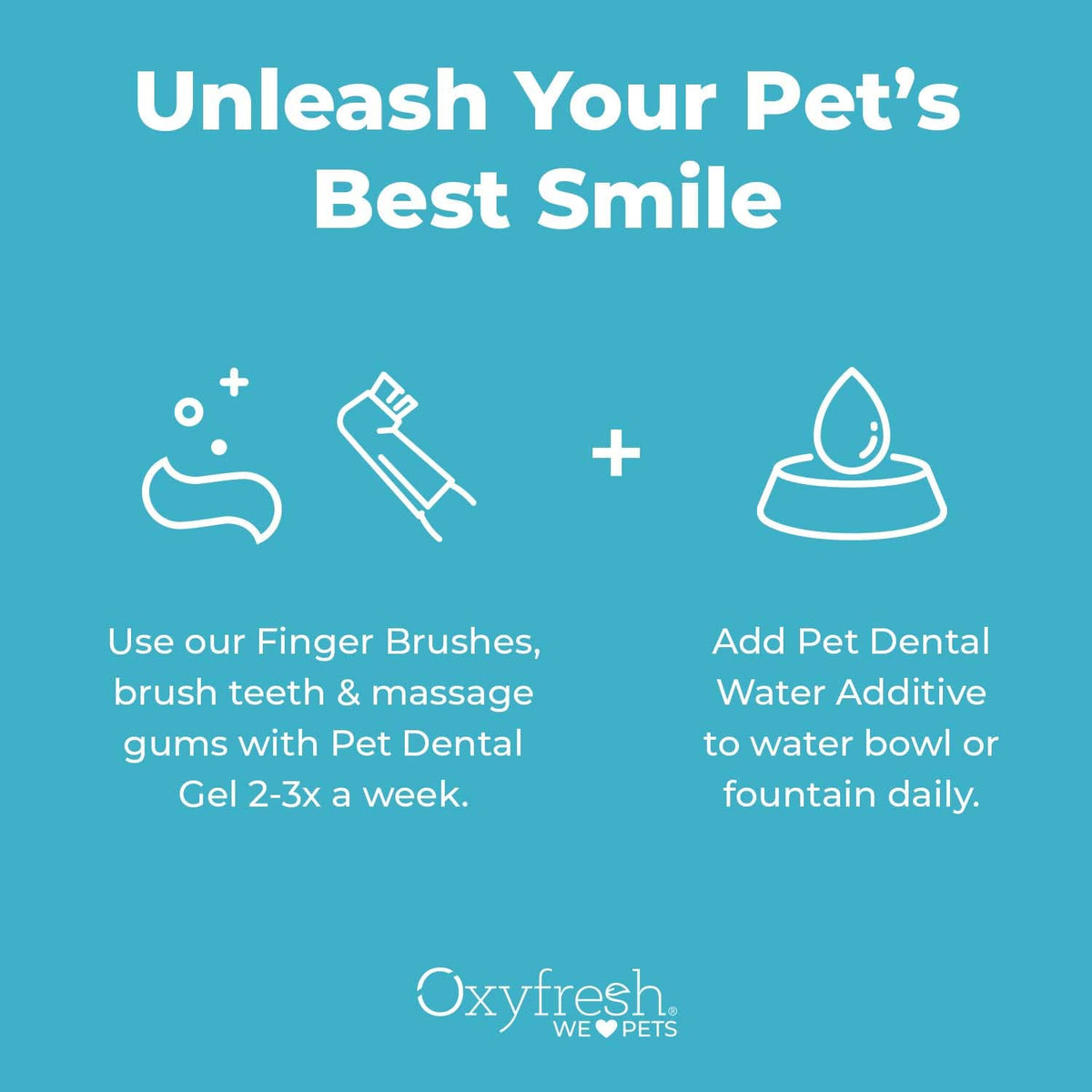 Pet Dental Kit 4oz Toothpaste + 16oz Water Additive Y858