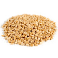 Organic Hard White Wheat Berries, Whole Grain, 25 lb M309936