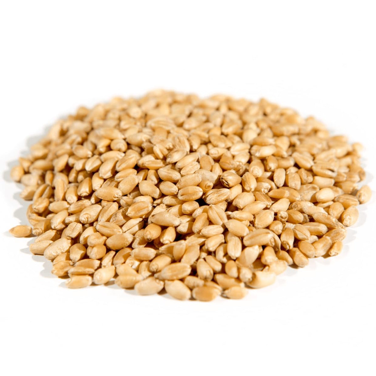 Organic Hard White Wheat Berries, Whole Grain, 25 lb M309936