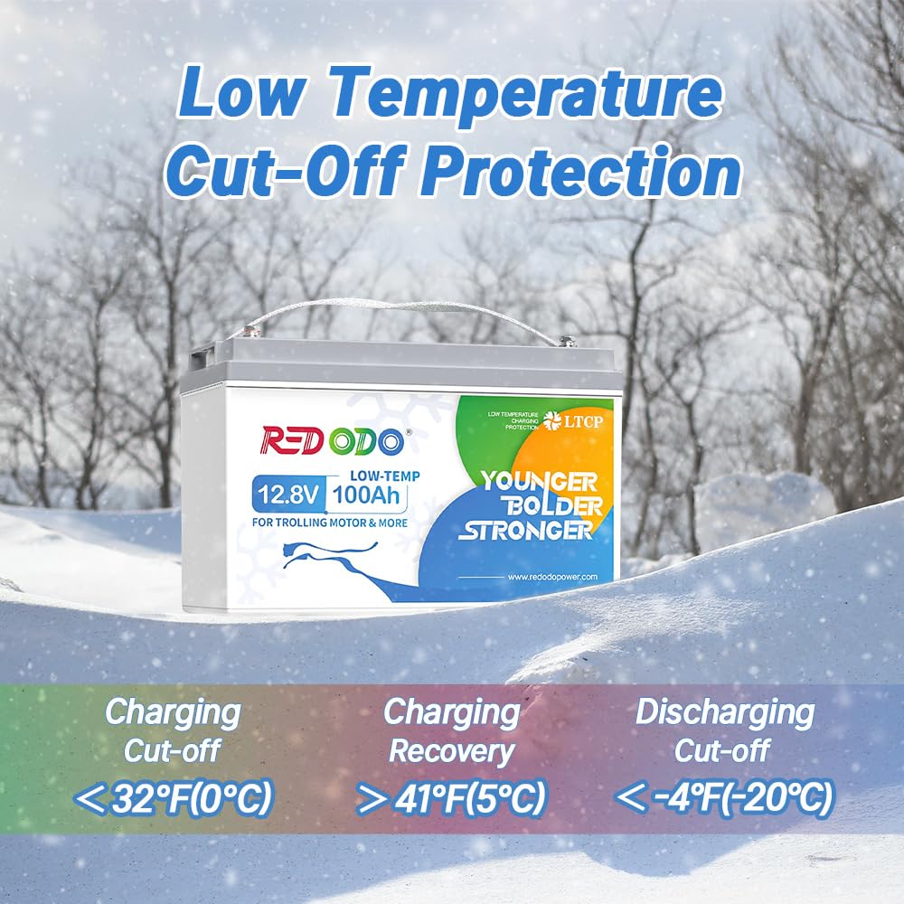 12V 100Ah LiFePO4 Deep Cycle Battery M26948
