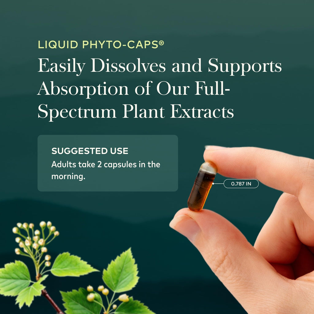 60 Vegan Capsules T805