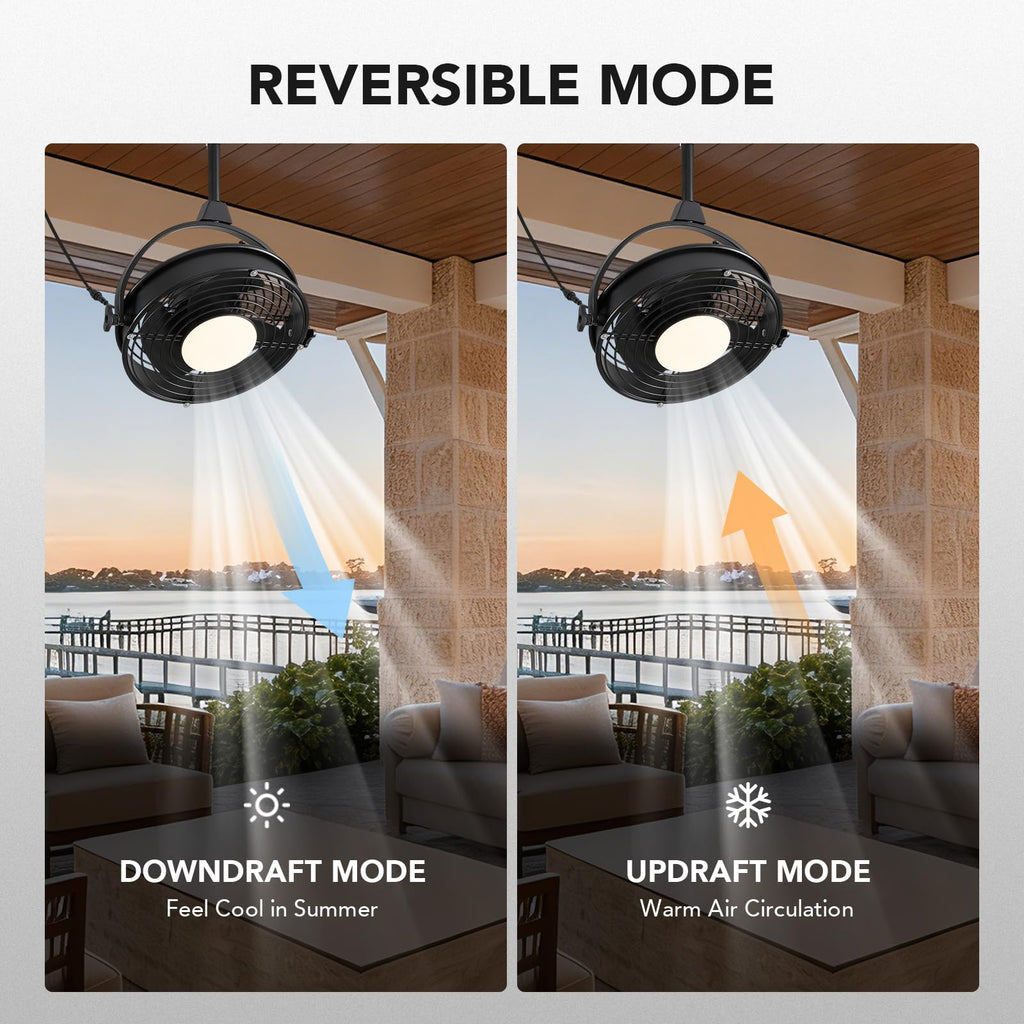 20" Outdoor Ceiling Fan with Lights M860