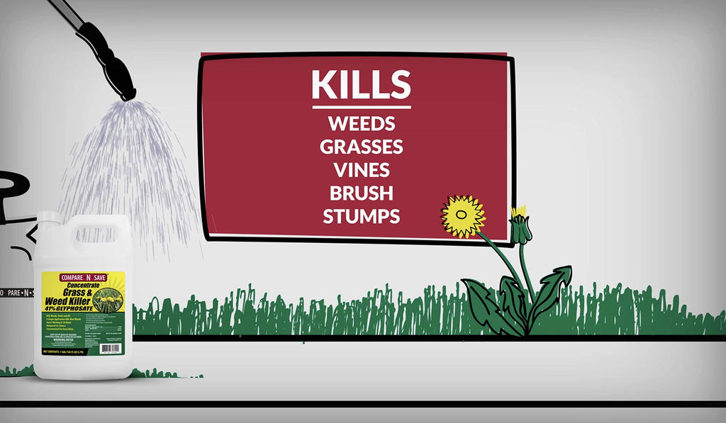 Glyphosate Concentrate Grass & Weed Killer Herbicide, 16-ounce Y508
