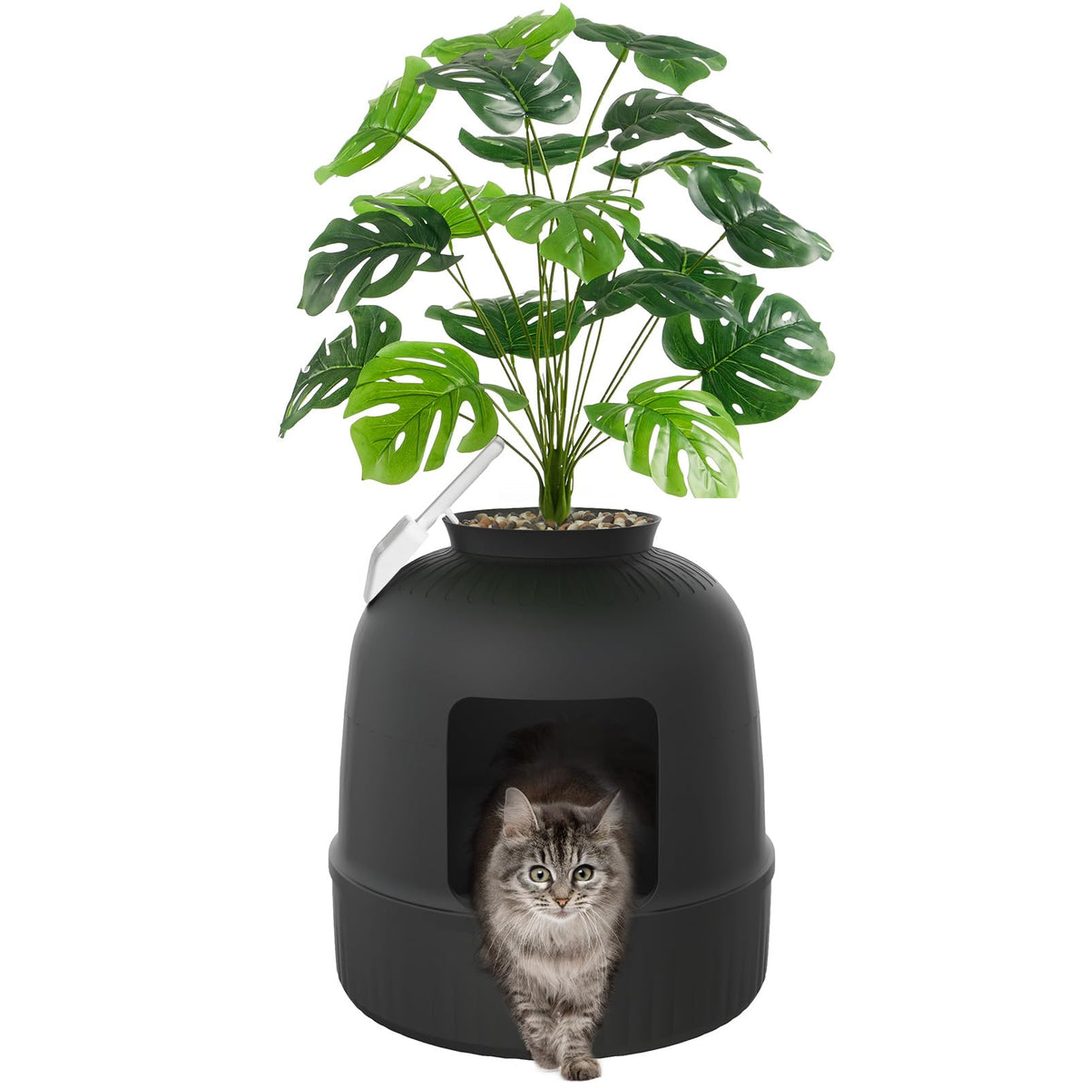 Black Cat Litter Box with Scoop X294