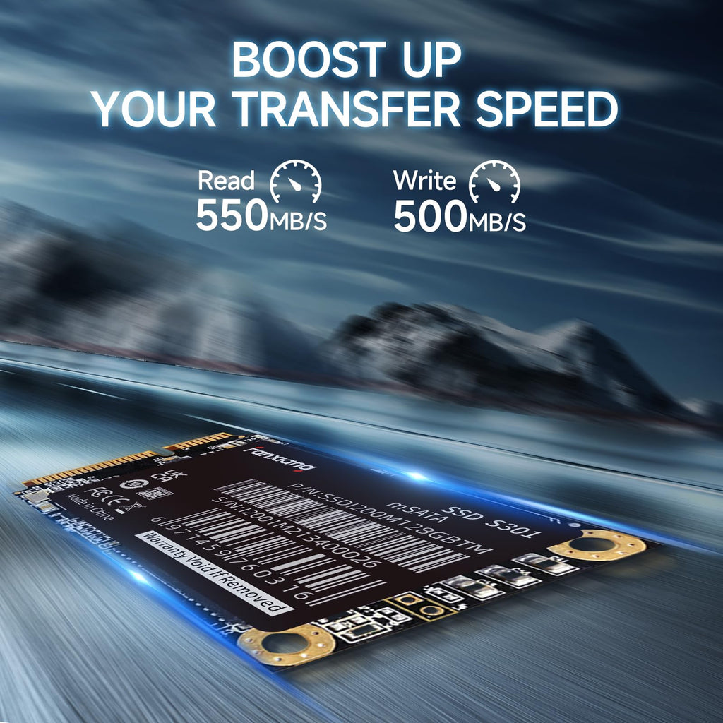 1TB mSATA III Internal SSD C5860