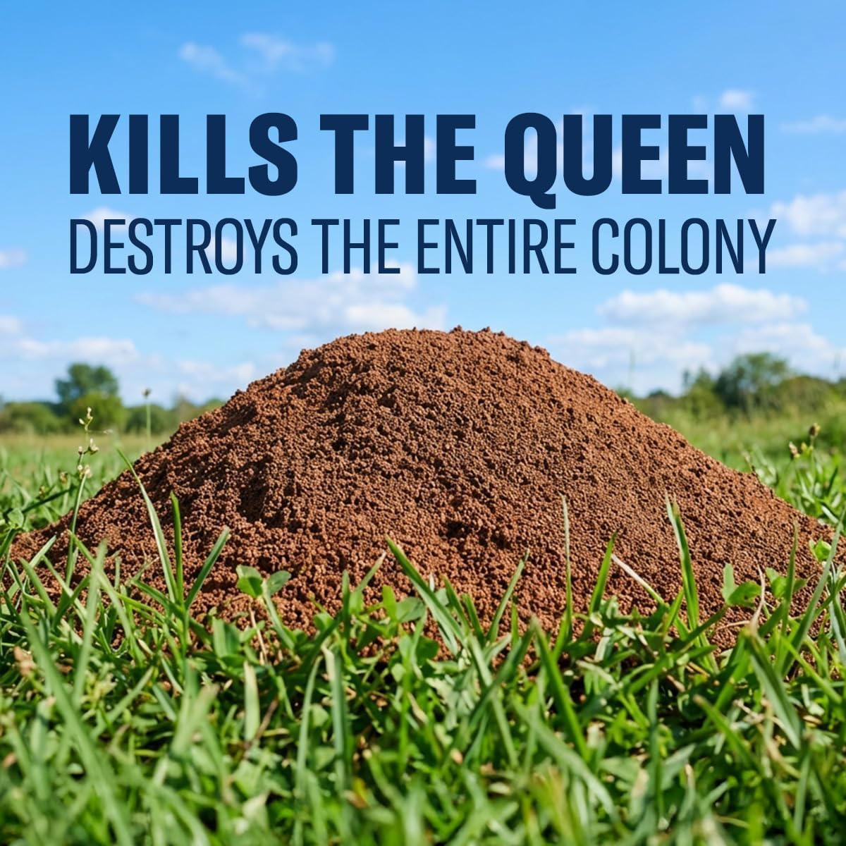 Fire Ant Killer Dust 1 lb H2079