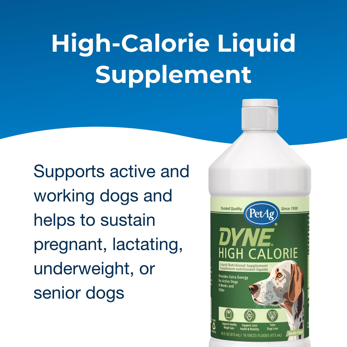 High Calorie Liquid Nutritional Supplement for Dogs & Puppies 16 oz K97262