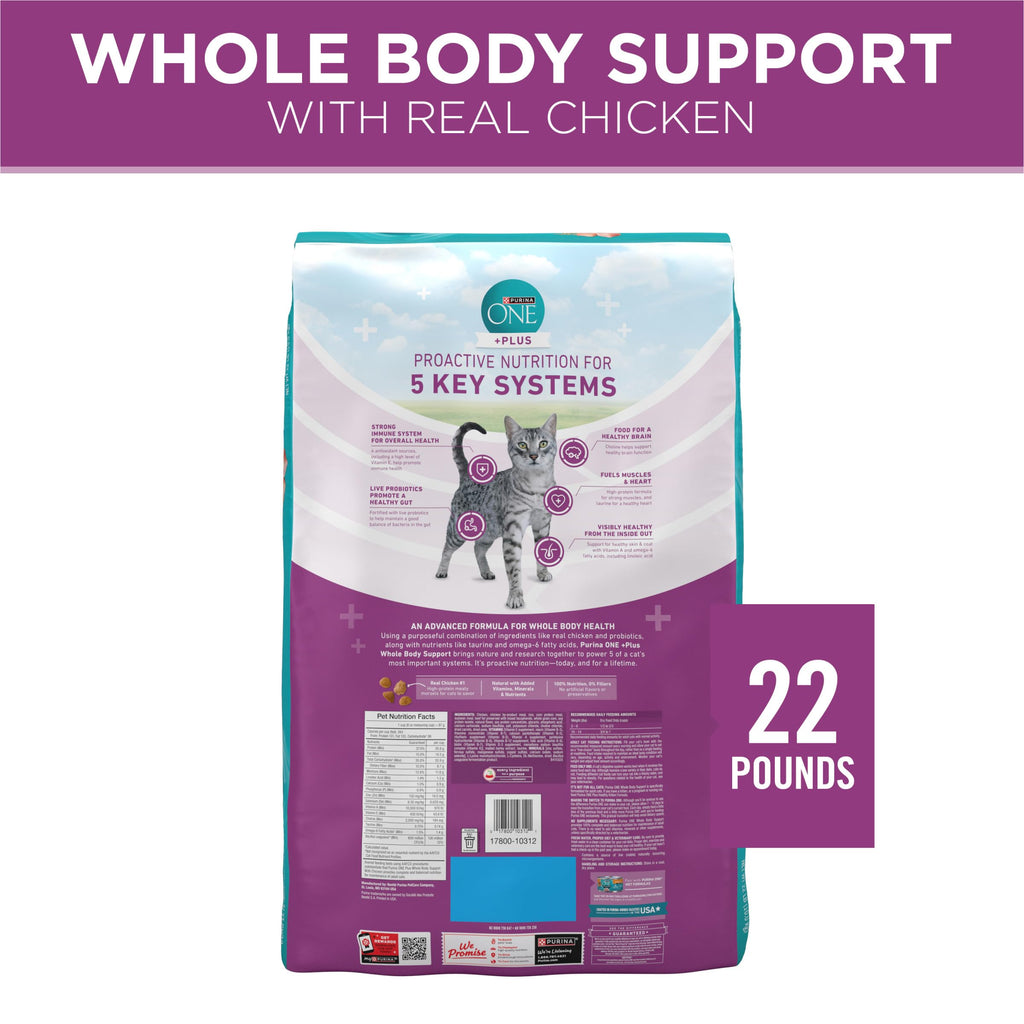 Dry Cat Food 22 lb. Bag M29928