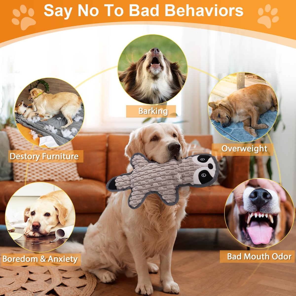 5 Pack Squeaky Plush Dog Toys with Crinkle Paper F750