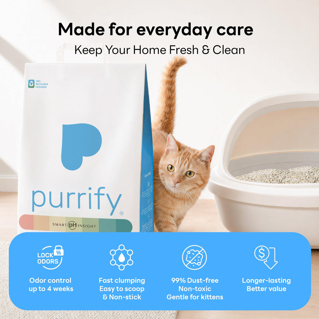 Plant-Based Tofu Cat Litter with Cassava, Color-Changing, Fast Clumping, Unscented 10 lb F851768
