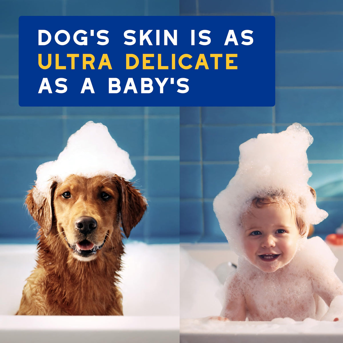 Oatmeal Dog Shampoo, 16 fl oz K585796