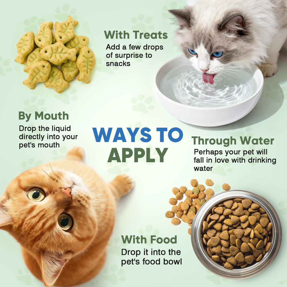 Cat Hairball Remedy Drops 60ml (2 fl oz) 2 Pack A80098