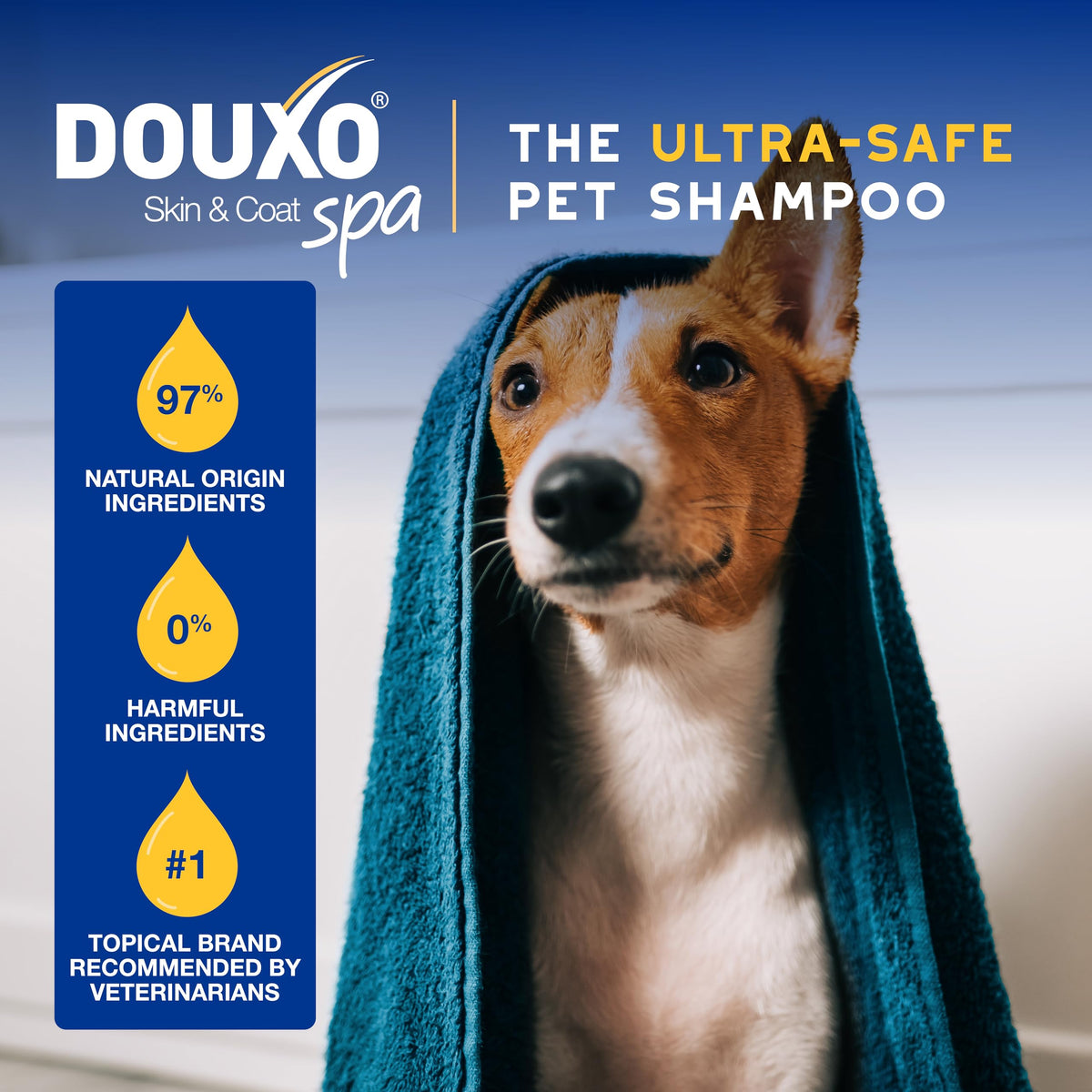Oatmeal Dog Shampoo, 16 fl oz K585796