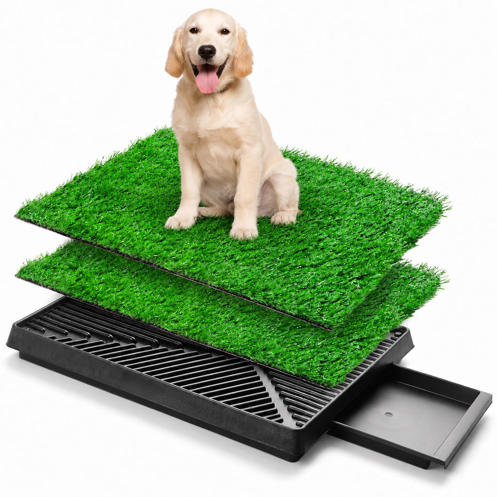 Dog Potty Grass Pads, 2 Pack, 25 x 20 in Turf X24970