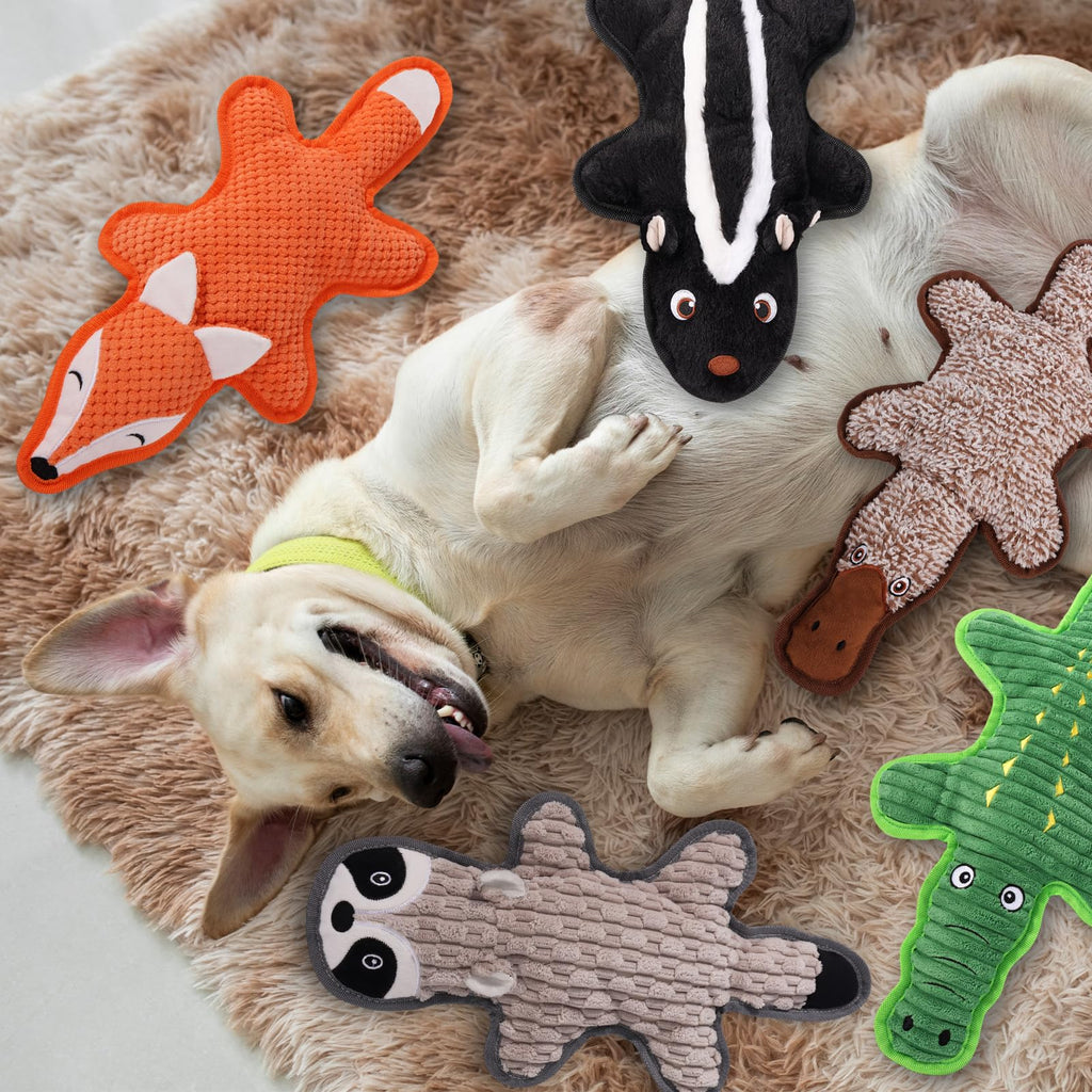 5 Pack Squeaky Plush Dog Toys with Crinkle Paper F750