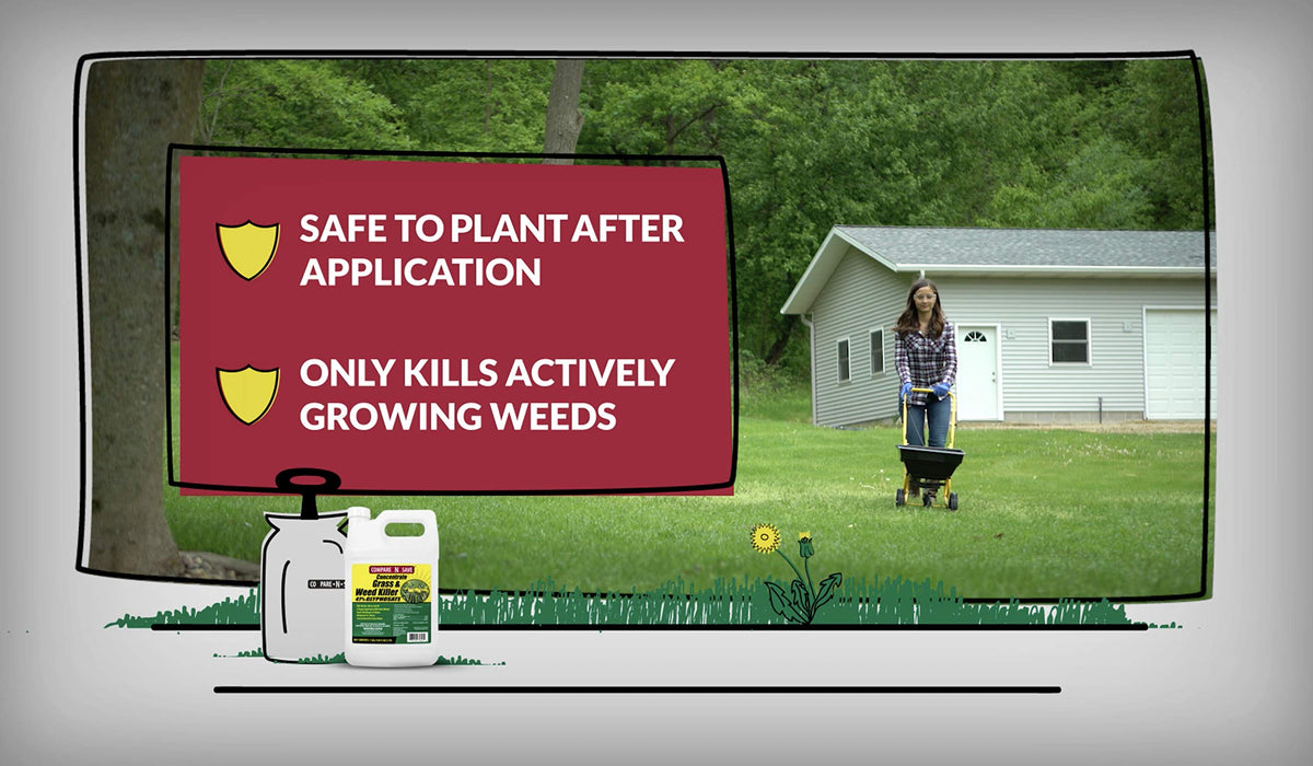 Glyphosate Concentrate Grass & Weed Killer Herbicide, 16-ounce Y508