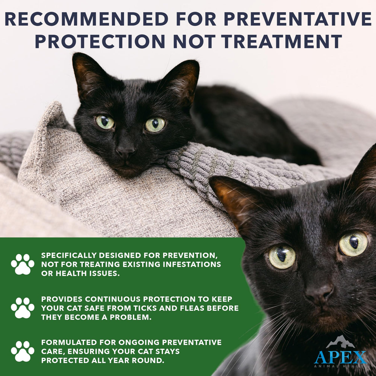 Flea & Tick Prevention Drops for Cats S352