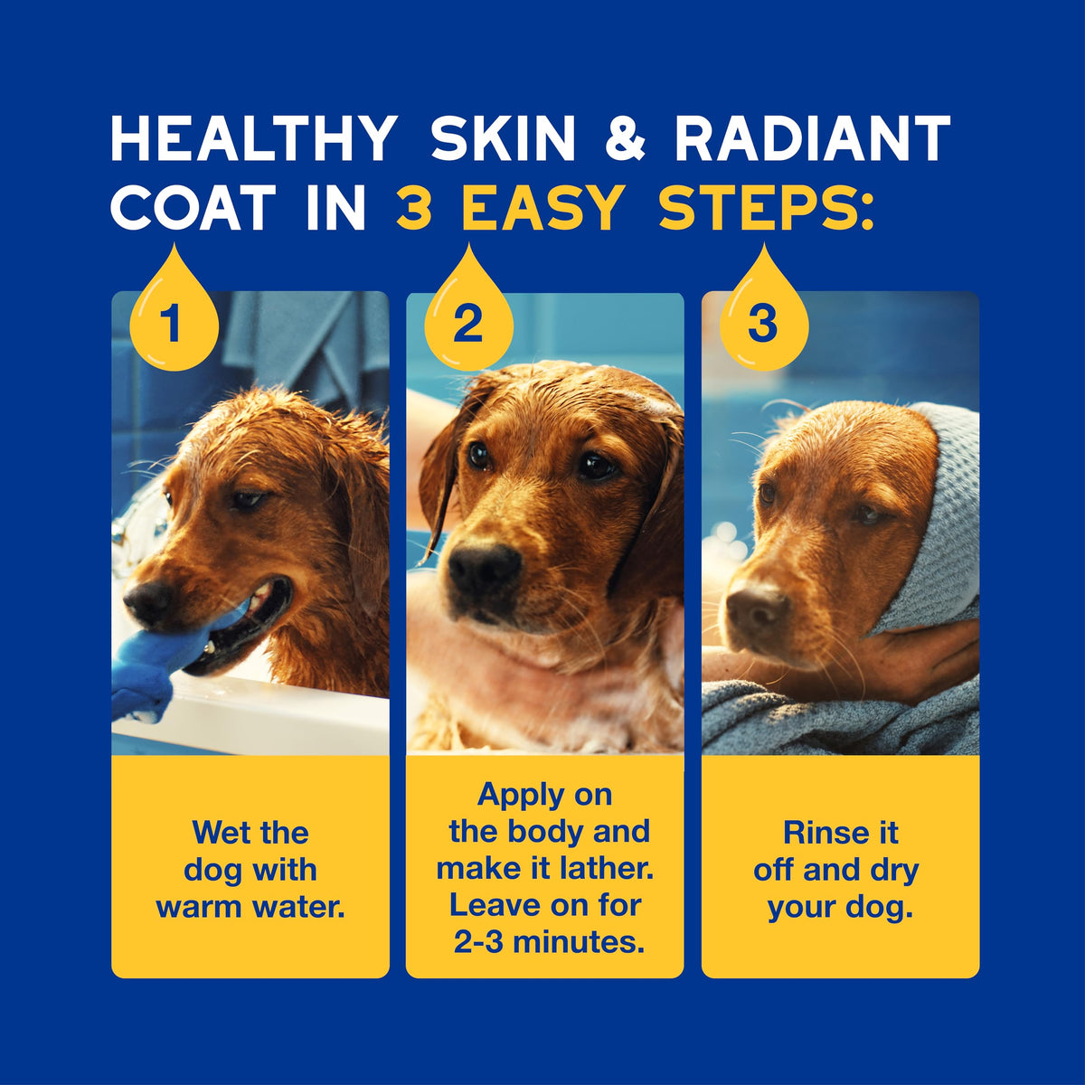 Oatmeal Dog Shampoo, 16 fl oz K585796