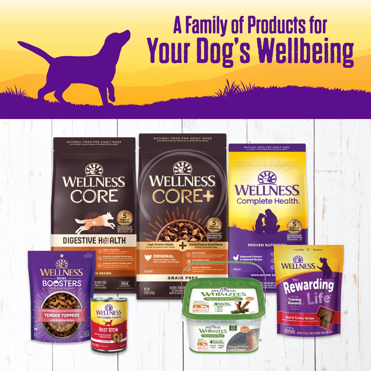 Grain Free Turkey Recipe Canned Wet Dog Food, 12.5 oz, Pack of 12 Cans H1758