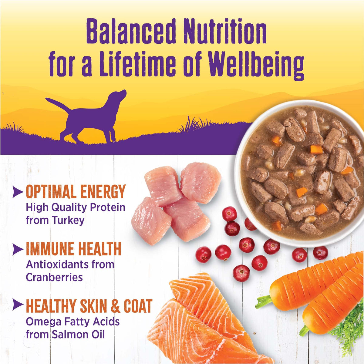 Grain Free Turkey Recipe Canned Wet Dog Food, 12.5 oz, Pack of 12 Cans H1758