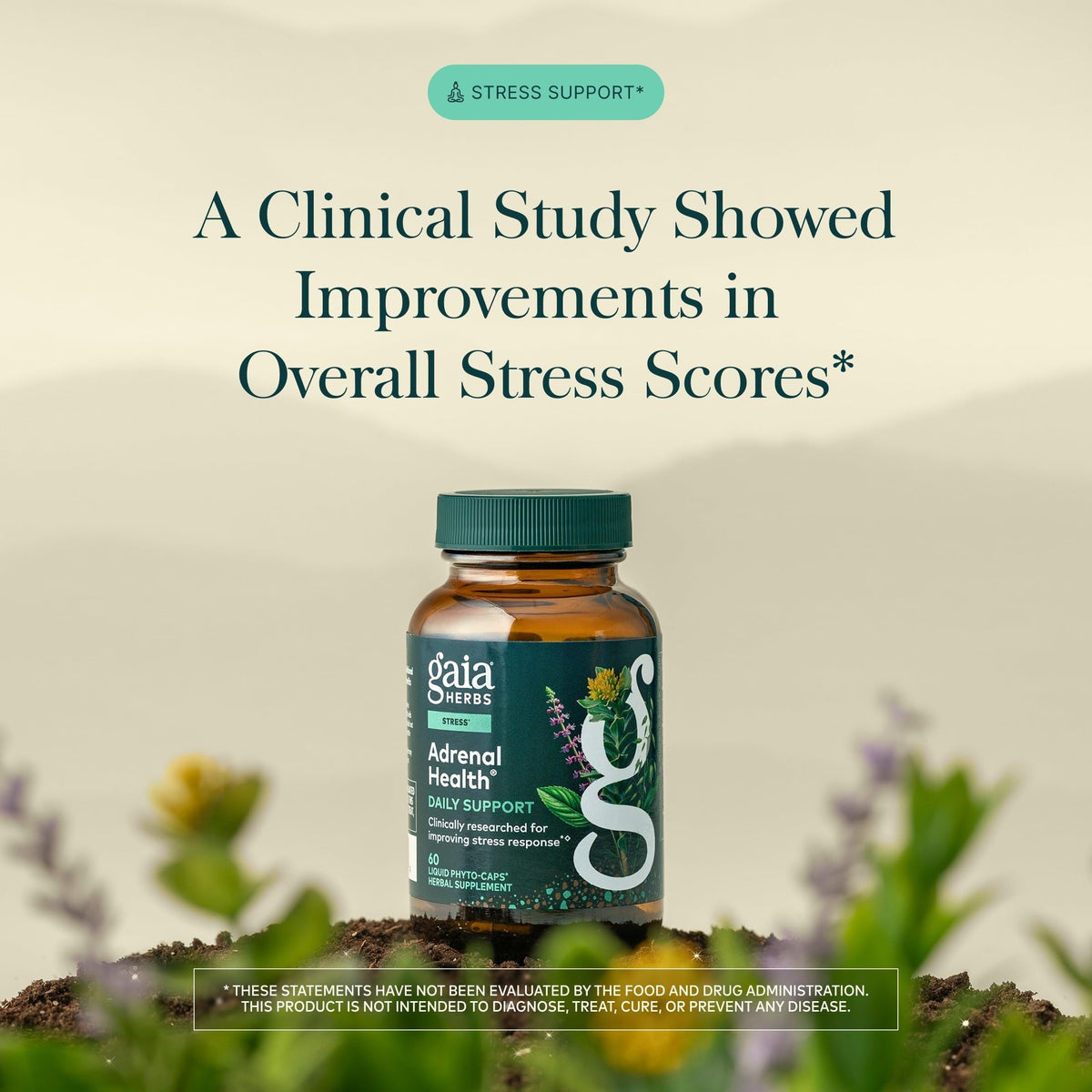 60 Vegan Capsules T805