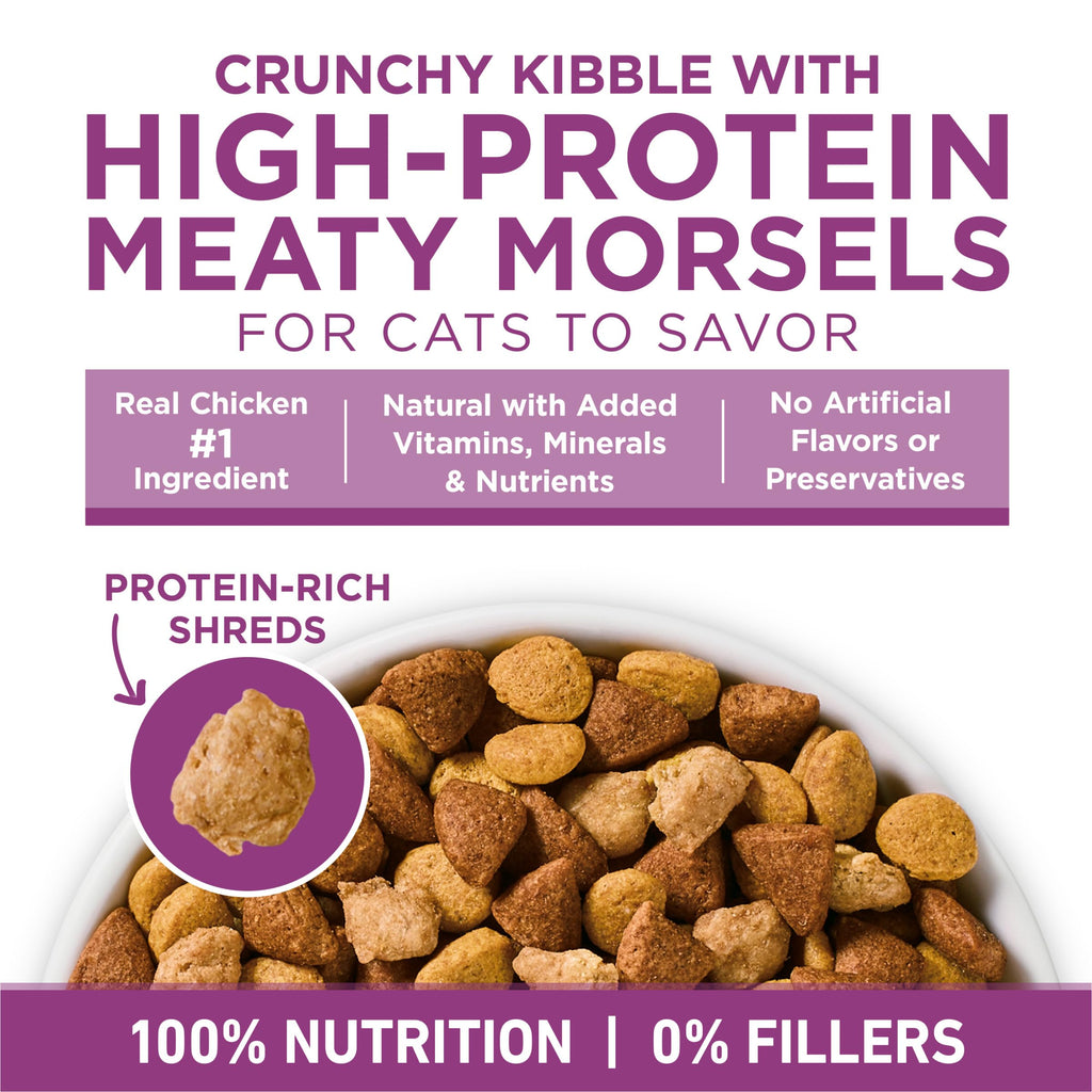 Dry Cat Food 22 lb. Bag M29928
