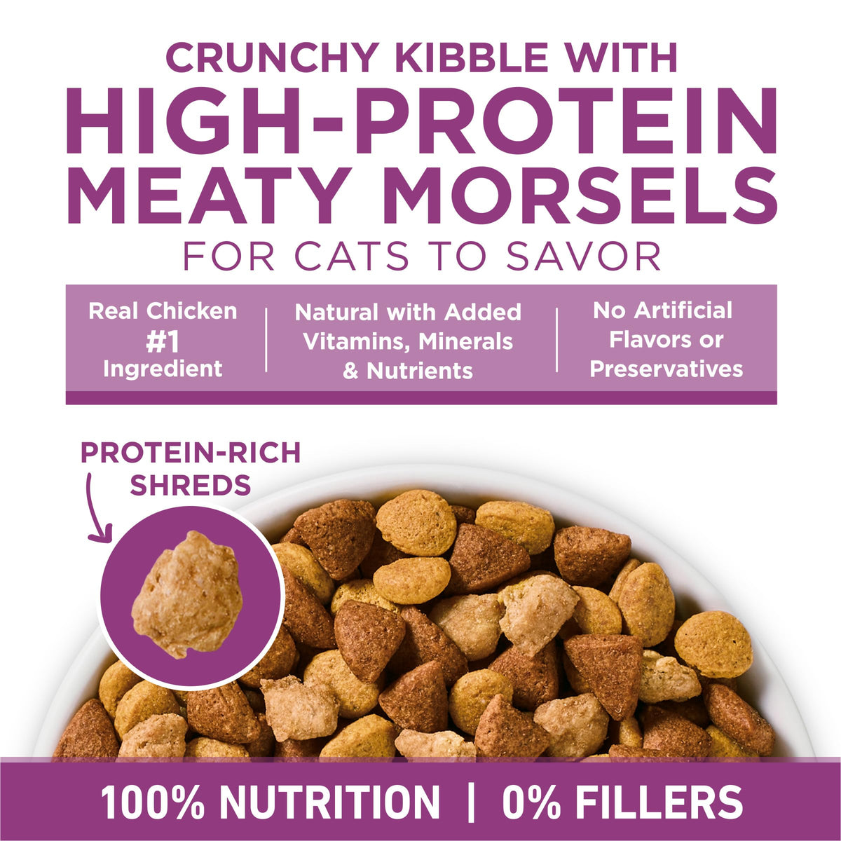 Dry Cat Food 22 lb. Bag M29928